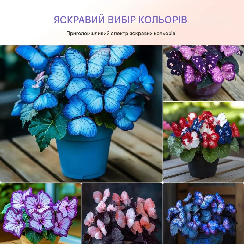 🦋 Преміальне насіння квітки у формі метелика ✨